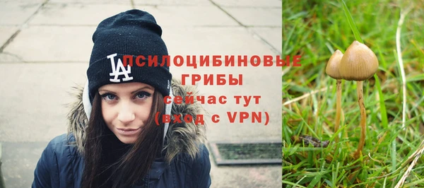 каннабис Майский