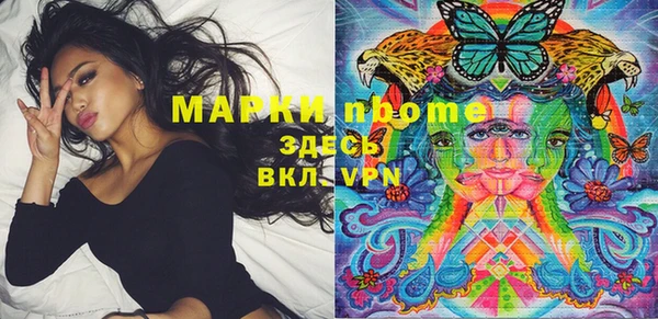 кокс Аша