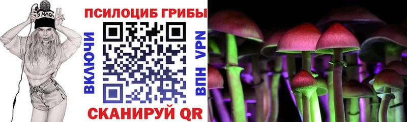 Галлюциногенные грибы GOLDEN TEACHER  продажа наркотиков  Шебекино 