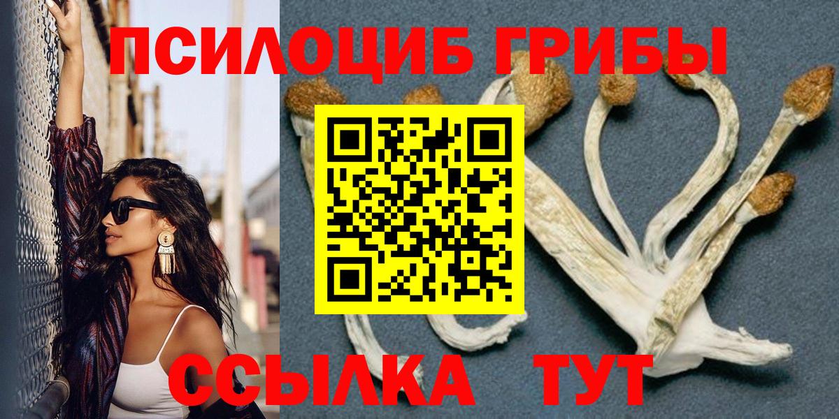 Шебекино  Галлюциногенные грибы MAGIC MUSHROOMS  Галлюциногенные грибы мухоморы  Вход с VPN 