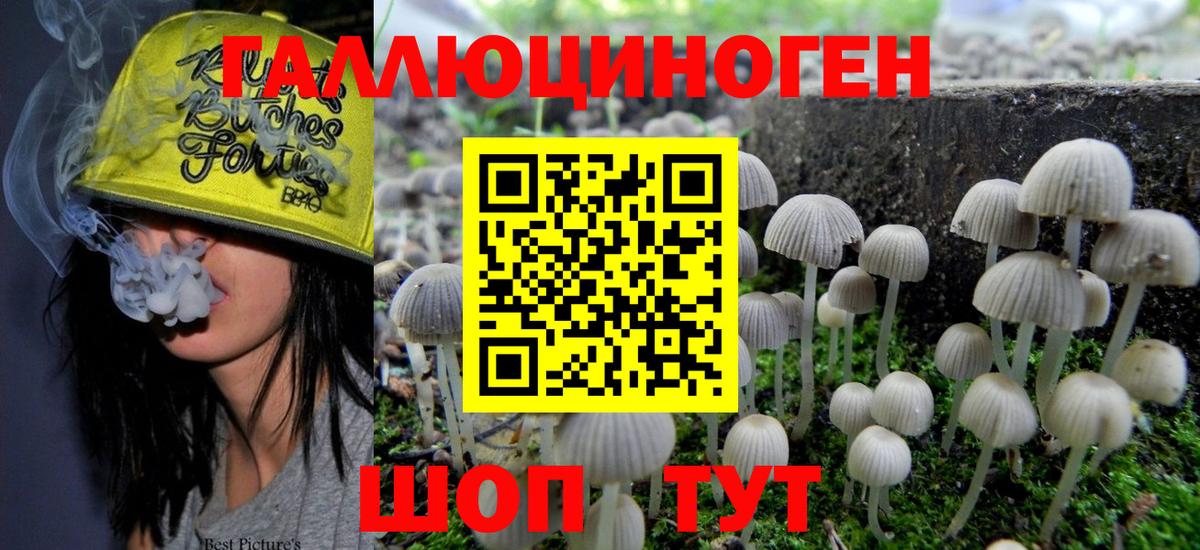 Галлюциногенные грибы Cubensis Шебекино