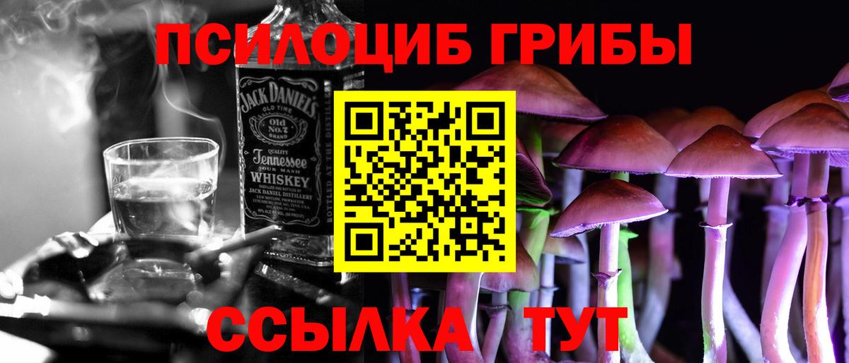 Галлюциногенные грибы Psilocybine cubensis  Галлюциногенные грибы Cubensis  Шебекино 