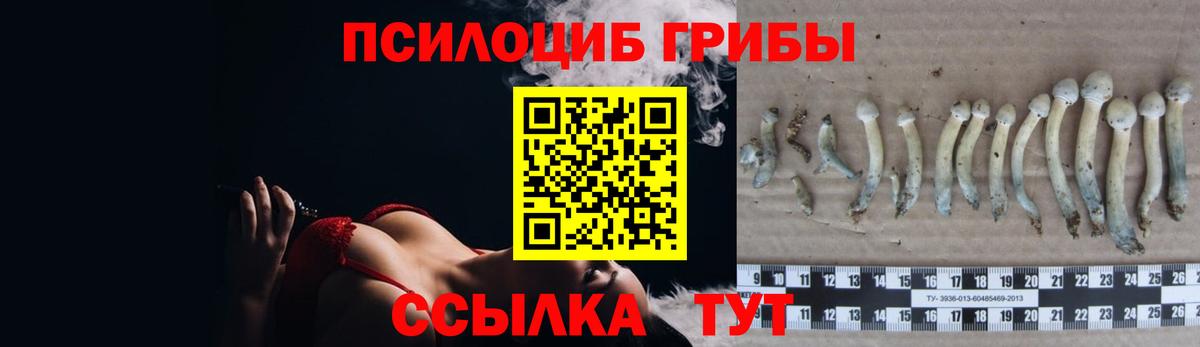 Псилоцибиновые грибы ЛСД Шебекино