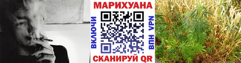 где купить наркоту  Шебекино  Шишки марихуана THC 21% 