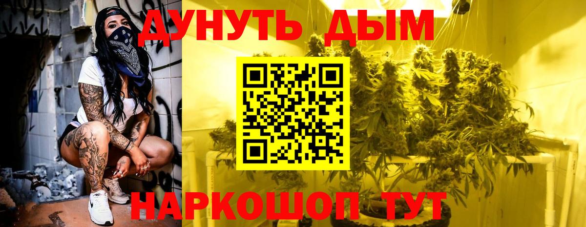 Бошки Шишки MAZAR Шебекино